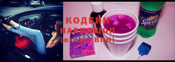 соль ск Бородино