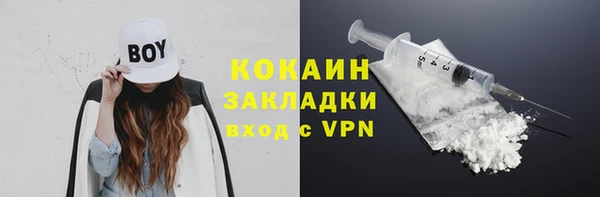 соль ск Бородино