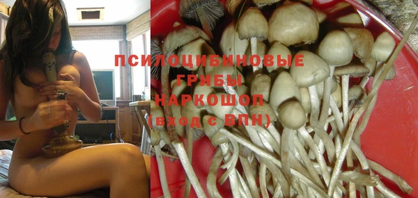 героин Богданович