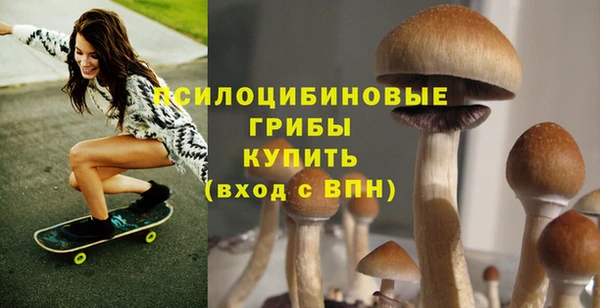 не бодяженный Богородск